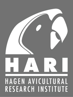 Hari