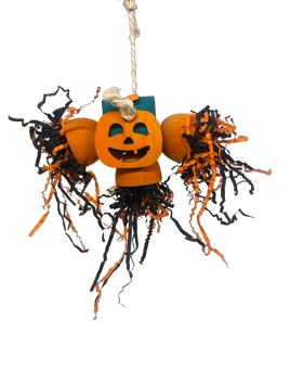 Shredded Pumpkin Small