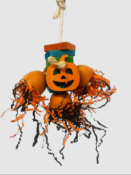 Shredded Pumpkin Medium