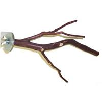 Manzanita 8 inch branch